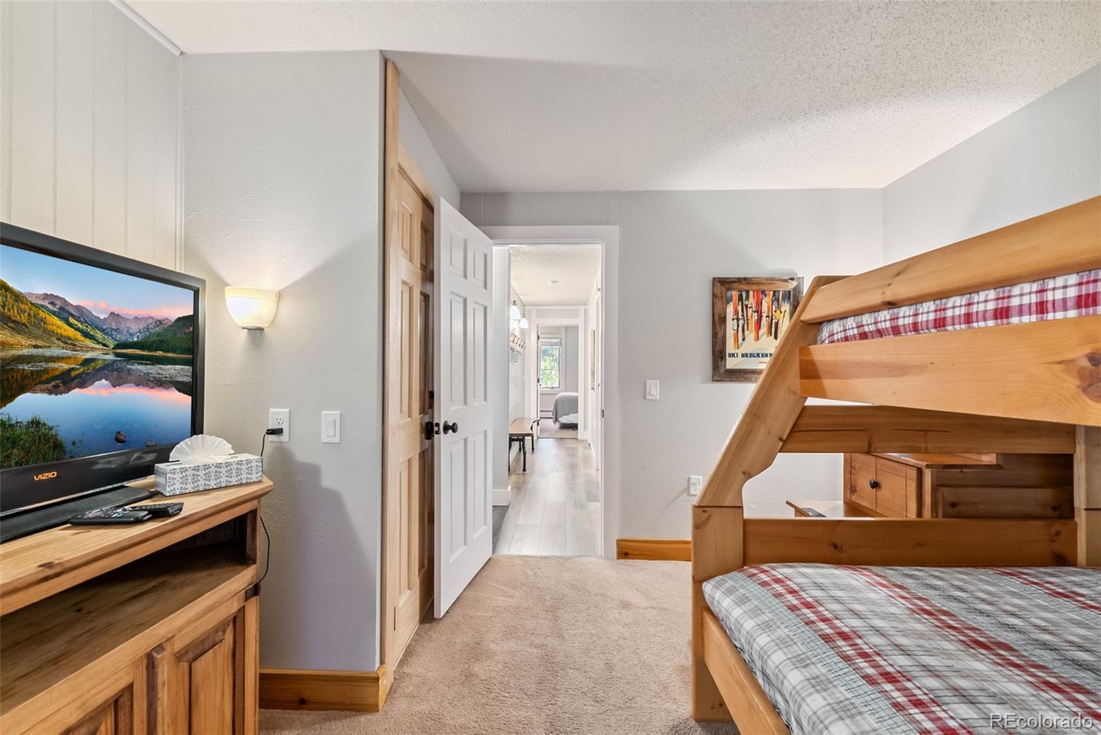 MLS Image #17 for 1105  ski hill road,breckenridge, Colorado