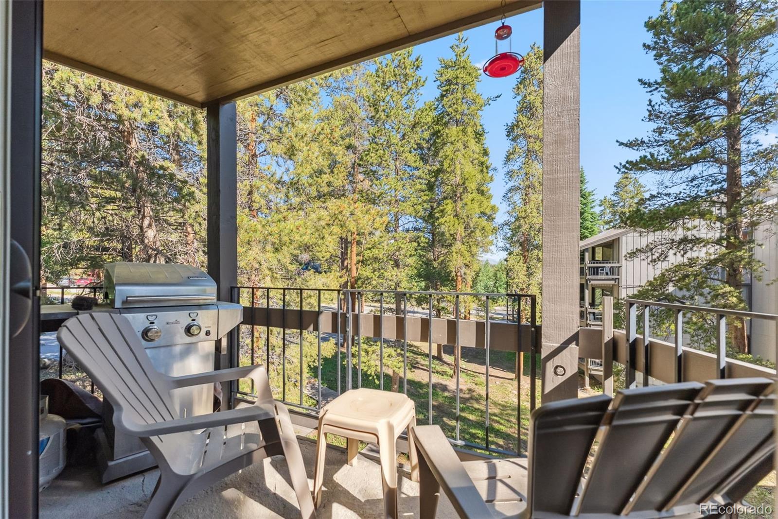 MLS Image #2 for 1105  ski hill road,breckenridge, Colorado
