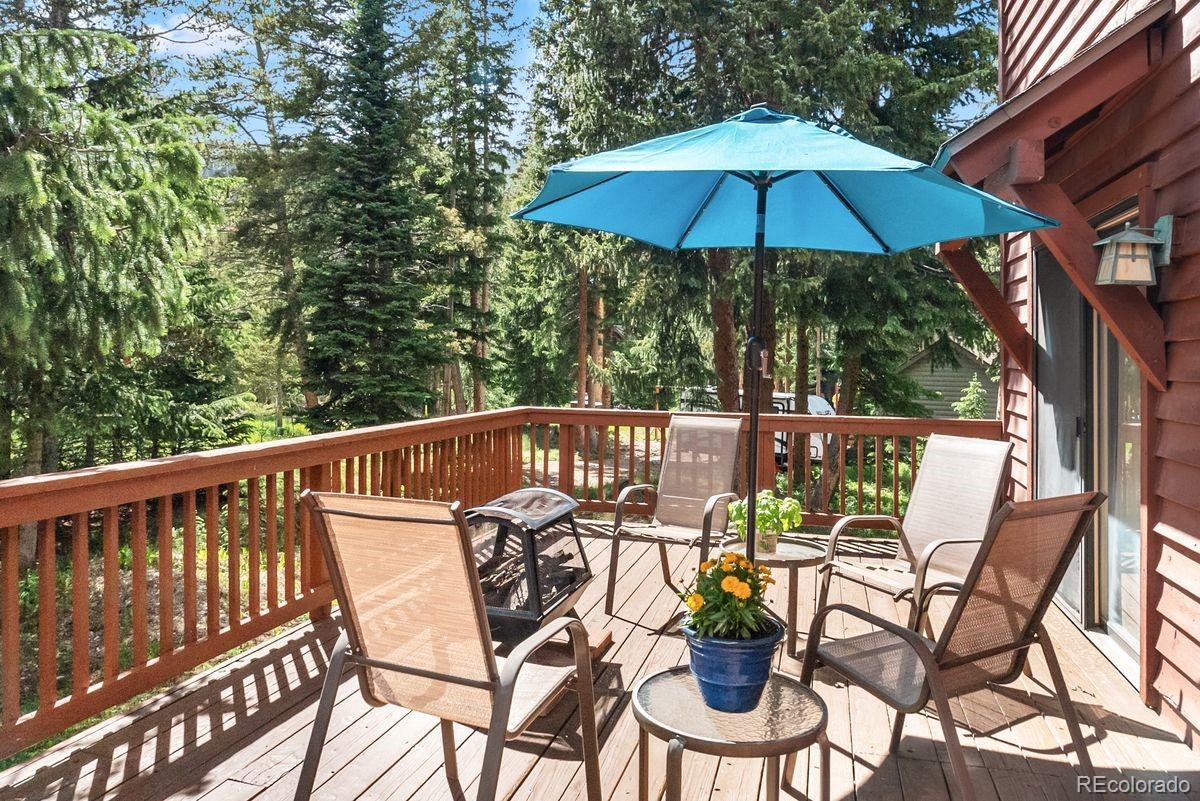 MLS Image #17 for 112  grey squirrel lane,breckenridge, Colorado