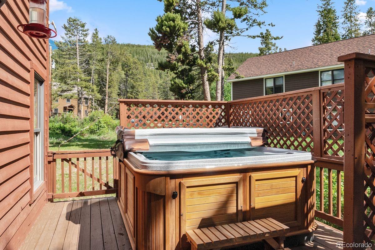 MLS Image #22 for 112  grey squirrel lane,breckenridge, Colorado