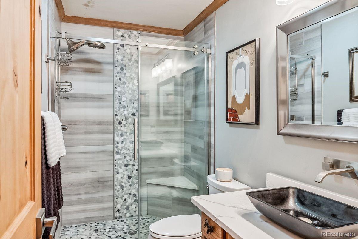 MLS Image #28 for 112  grey squirrel lane,breckenridge, Colorado