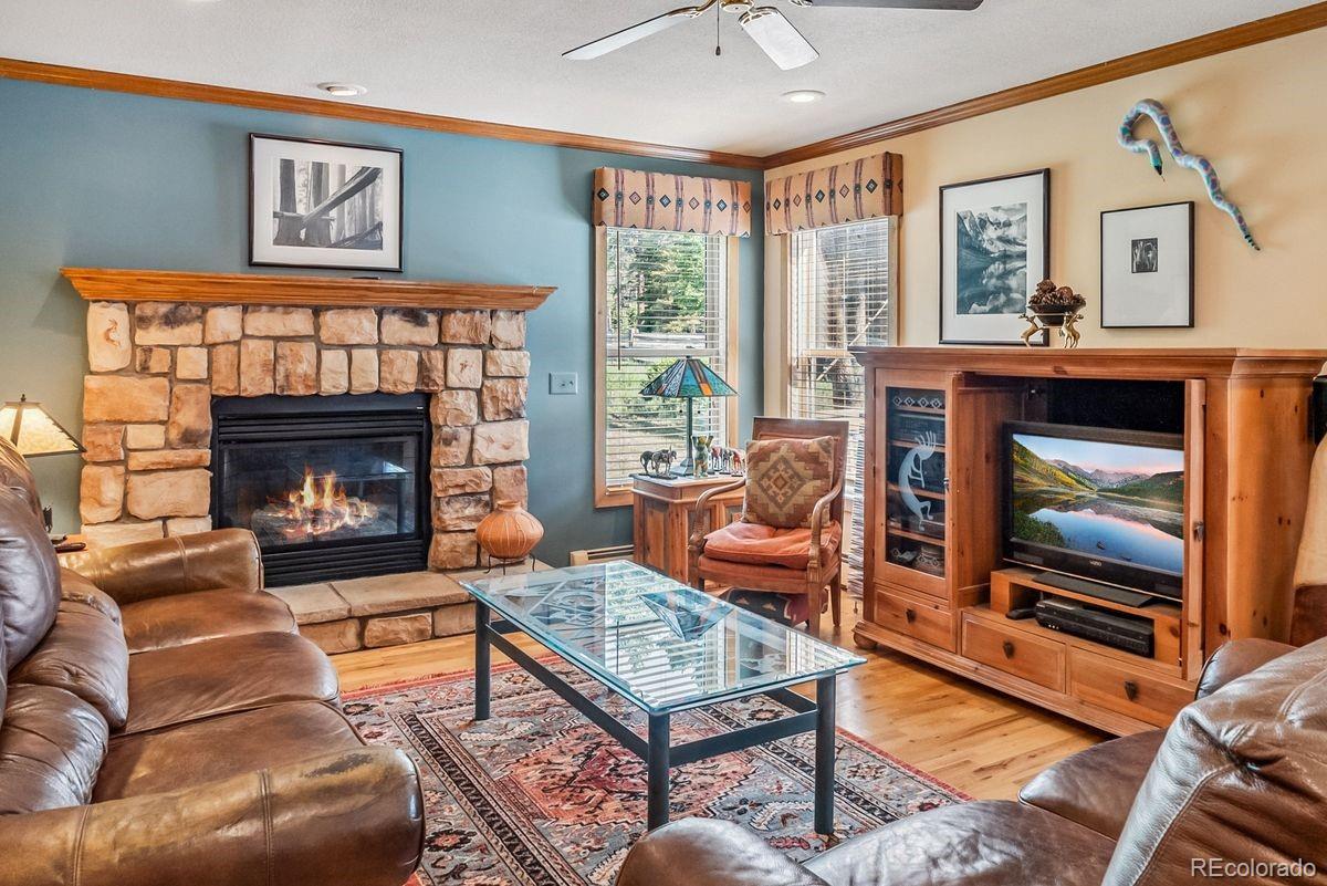 MLS Image #35 for 112  grey squirrel lane,breckenridge, Colorado
