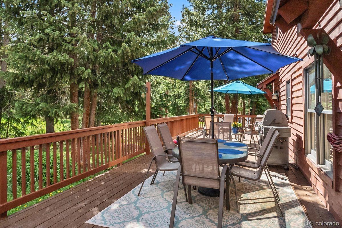 MLS Image #5 for 112  grey squirrel lane,breckenridge, Colorado