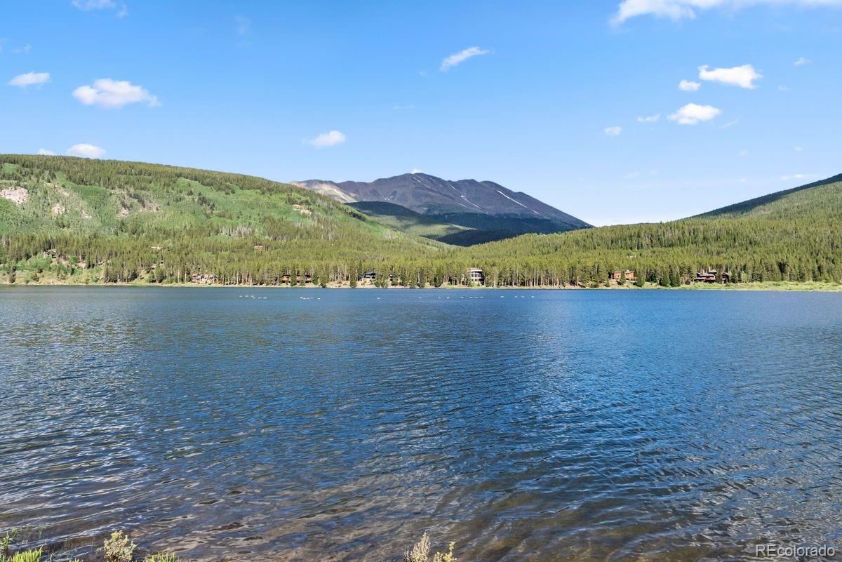 MLS Image #8 for 112  grey squirrel lane,breckenridge, Colorado