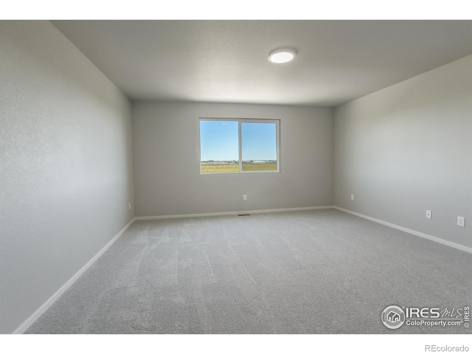 MLS Image #20 for 5409  drehle street,timnath, Colorado