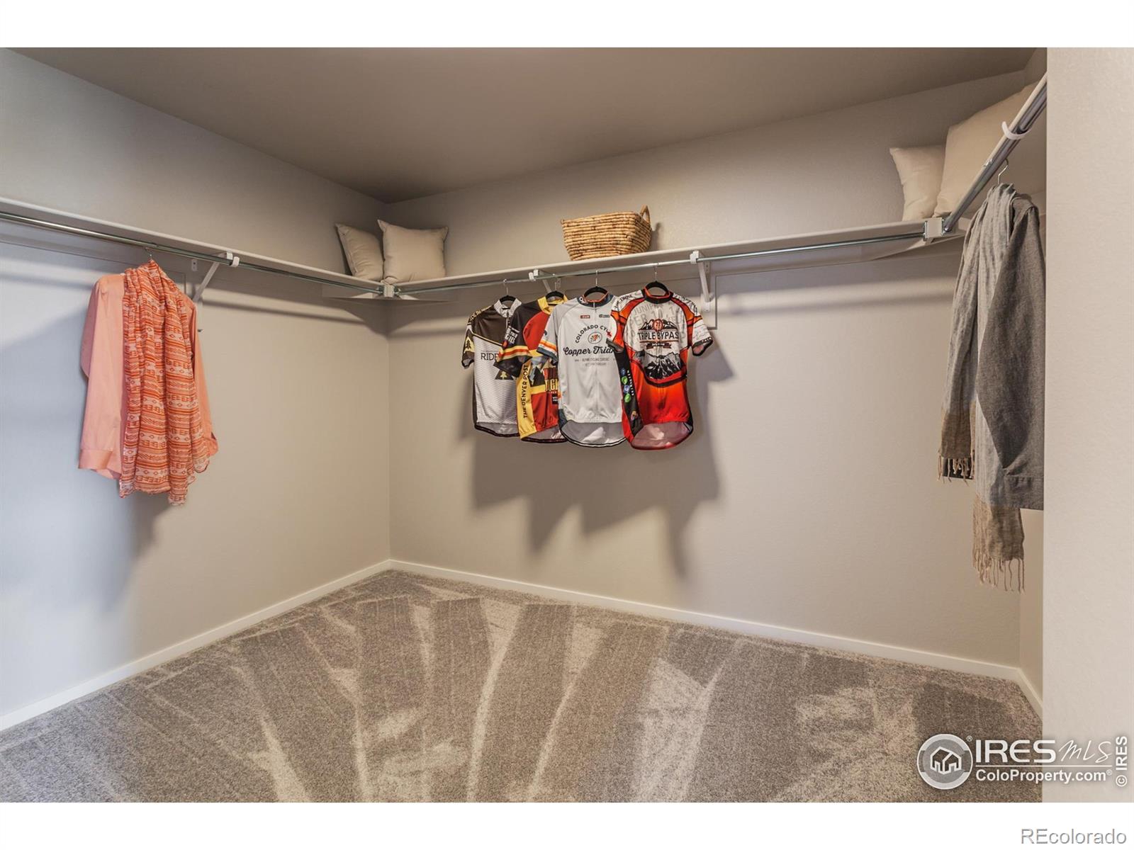 MLS Image #22 for 5409  drehle street,timnath, Colorado