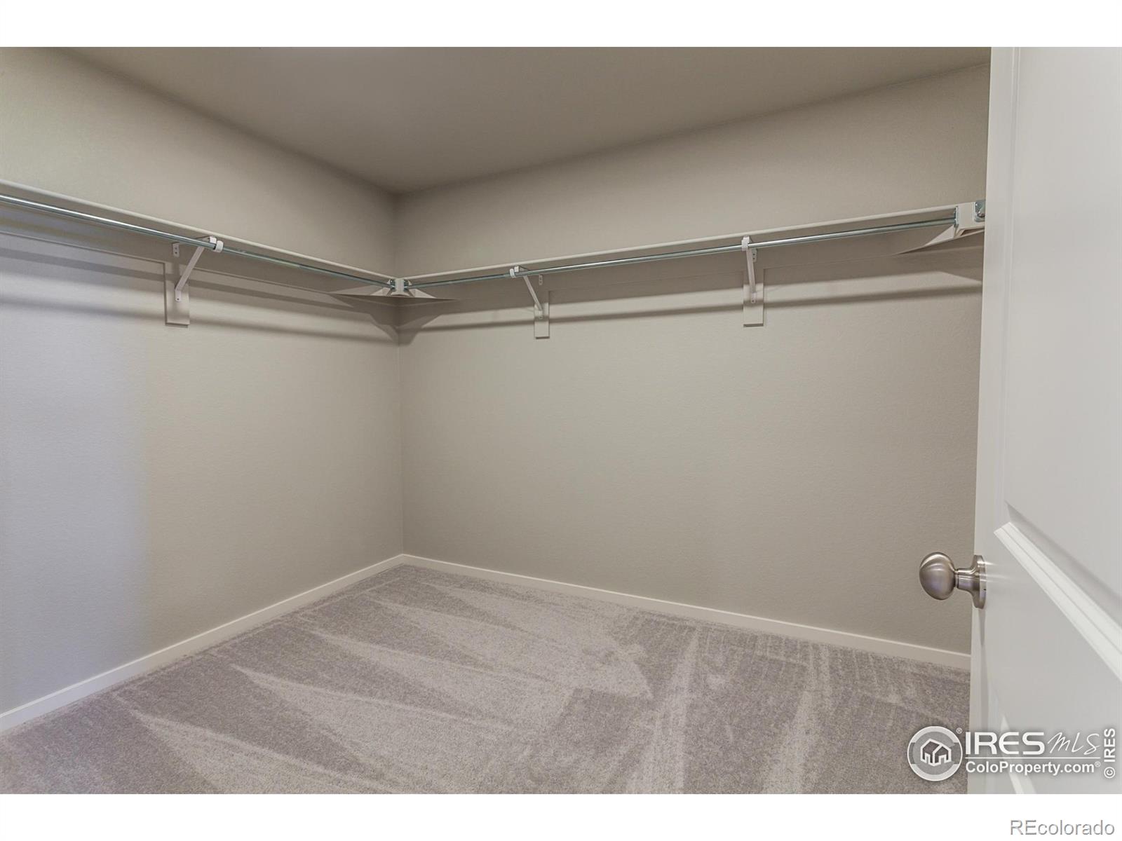 MLS Image #23 for 5409  drehle street,timnath, Colorado