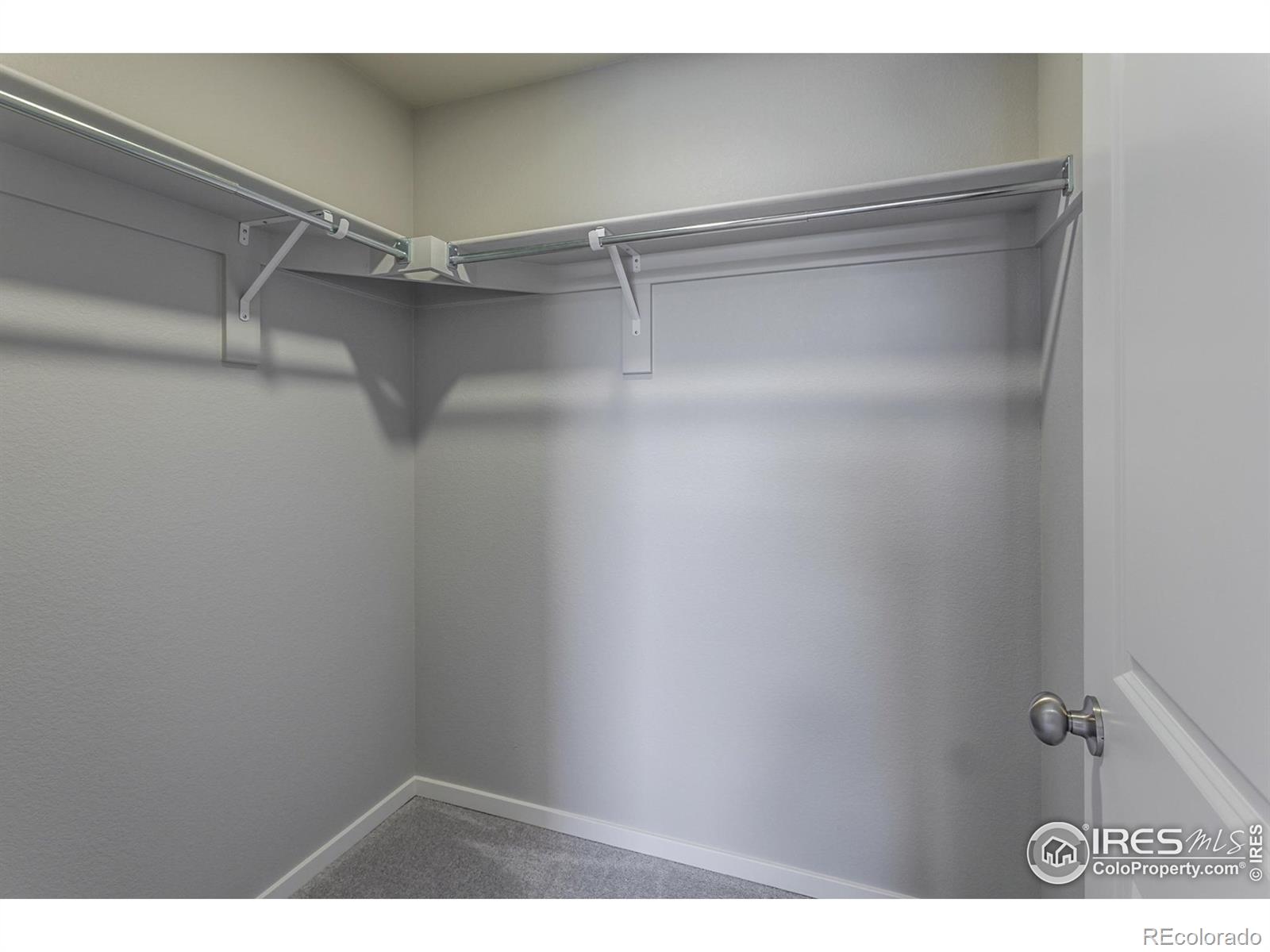 MLS Image #29 for 5409  drehle street,timnath, Colorado