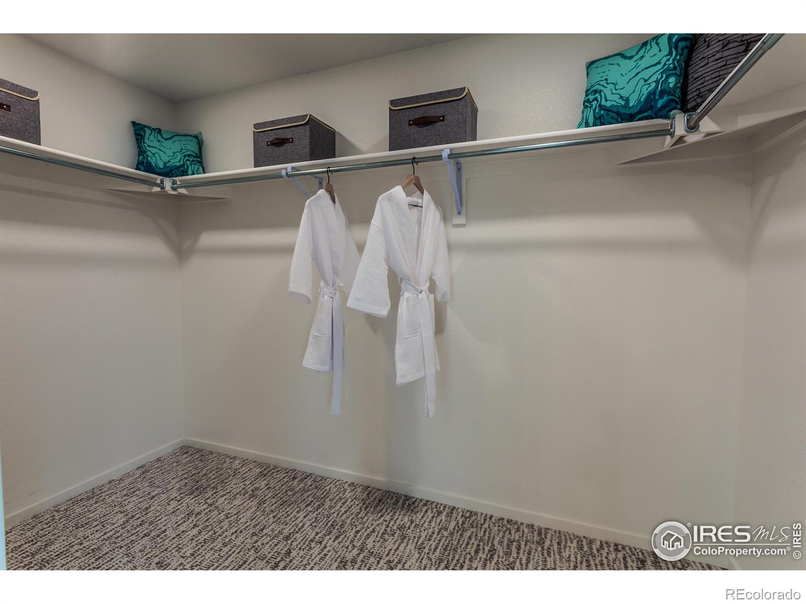 MLS Image #31 for 6063  red barn road,timnath, Colorado