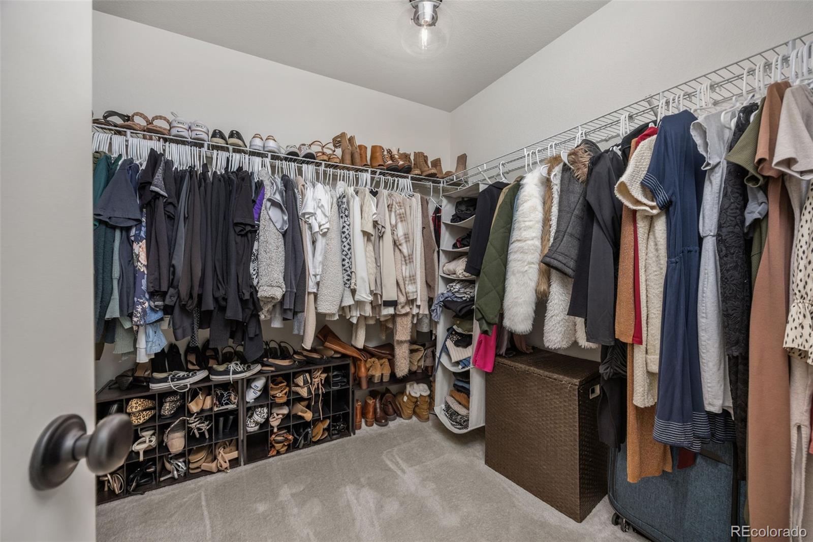MLS Image #20 for 3535  raintree lane,dacono, Colorado