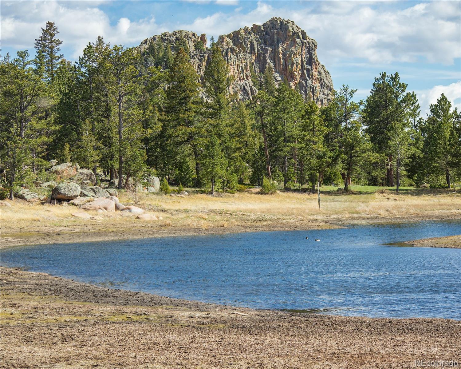 MLS Image #10 for 13101 n county road 73c ,red feather lakes, Colorado