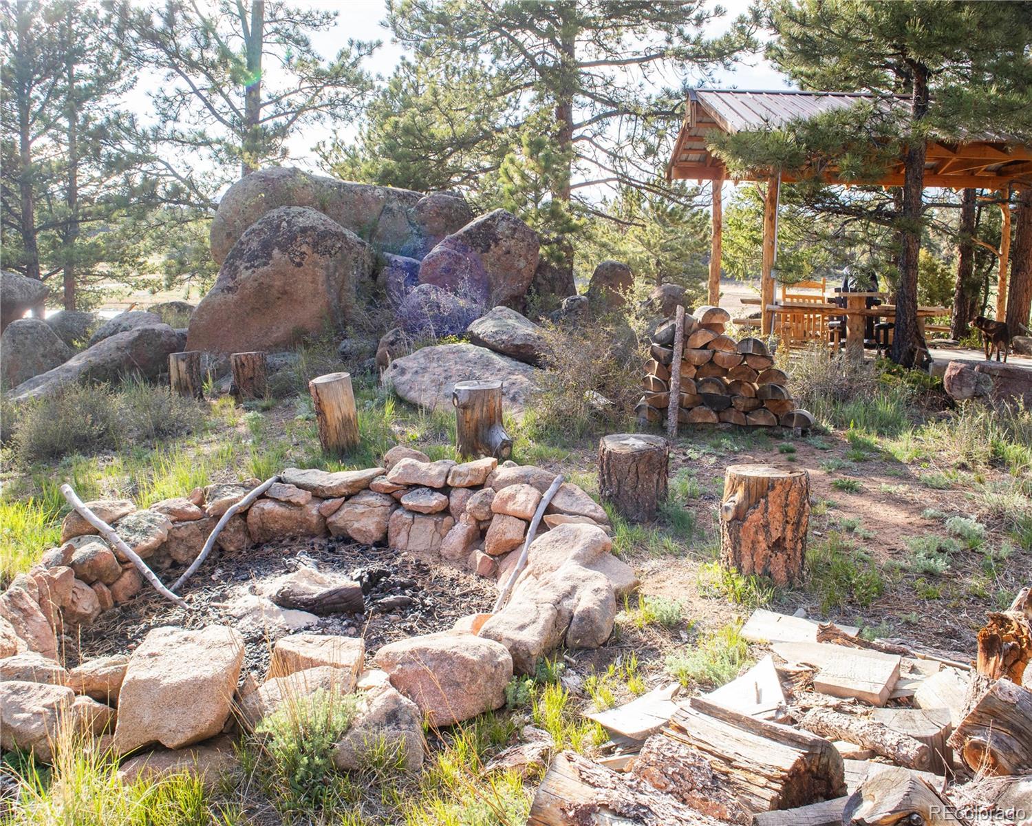 MLS Image #18 for 13101 n county road 73c ,red feather lakes, Colorado