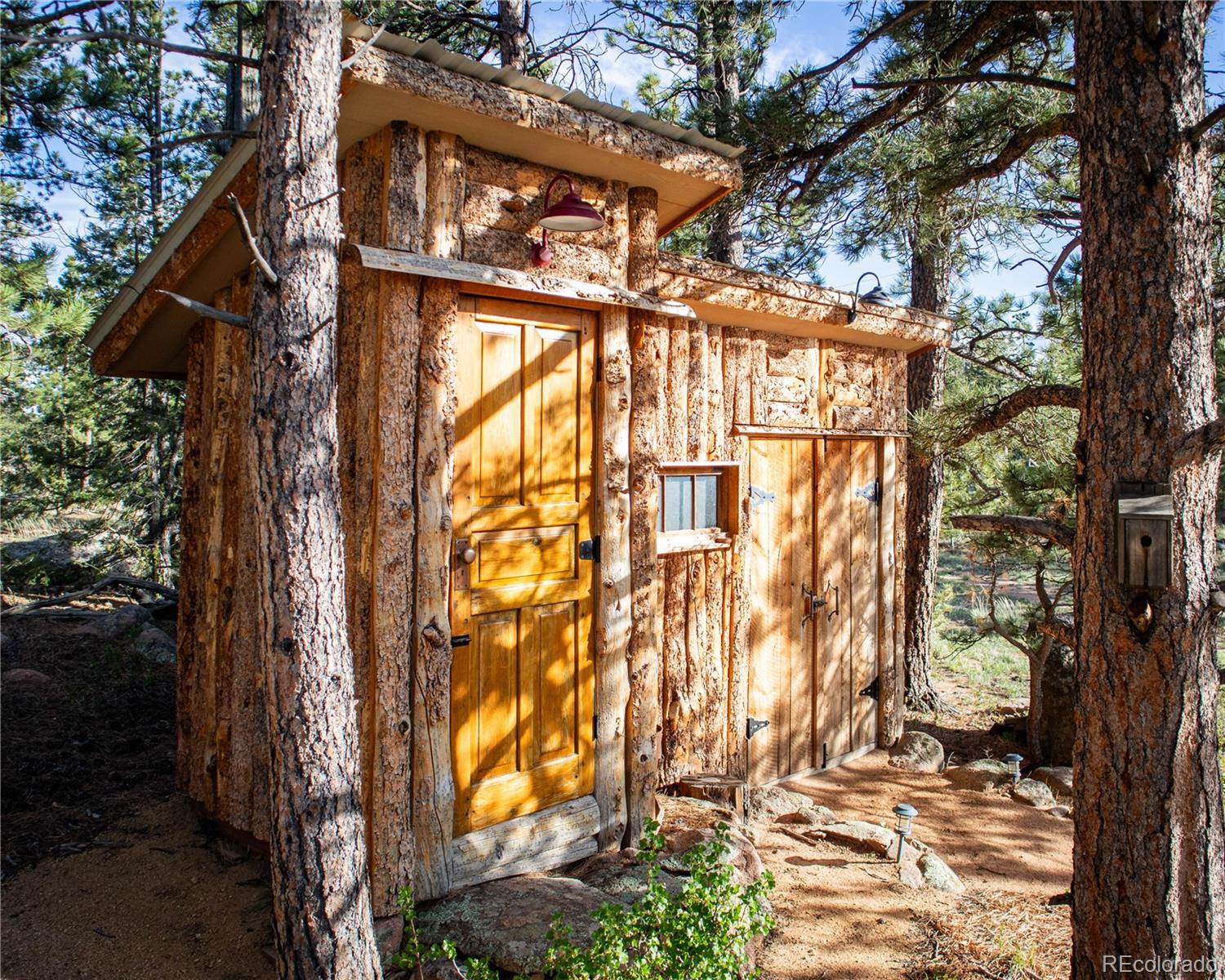 MLS Image #20 for 13101 n county road 73c ,red feather lakes, Colorado