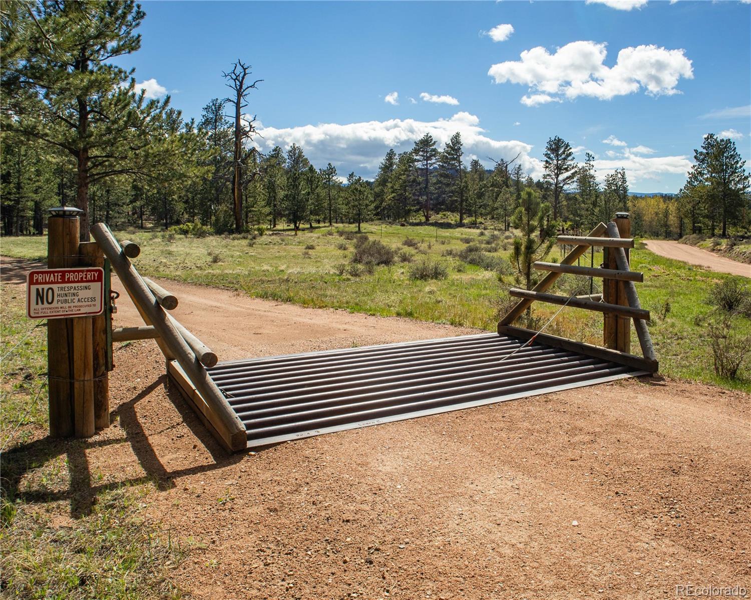 MLS Image #26 for 13101 n county road 73c ,red feather lakes, Colorado