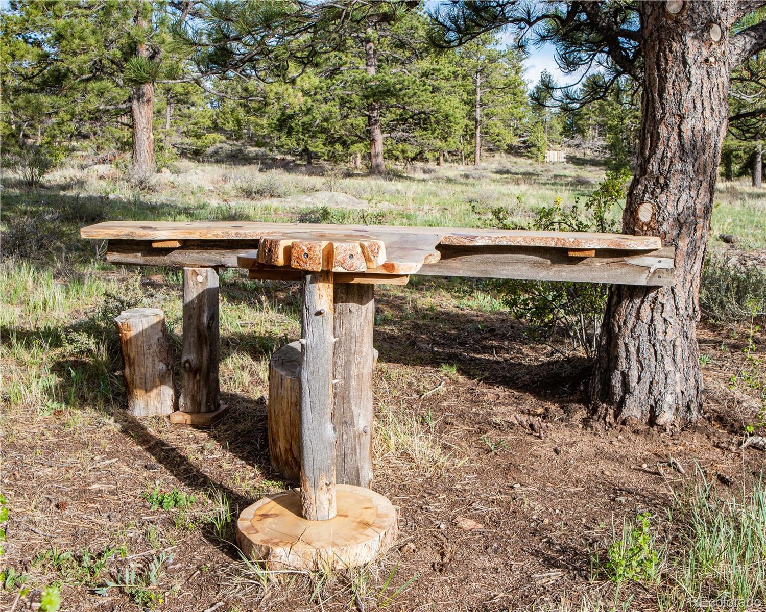 MLS Image #28 for 13101 n county road 73c ,red feather lakes, Colorado