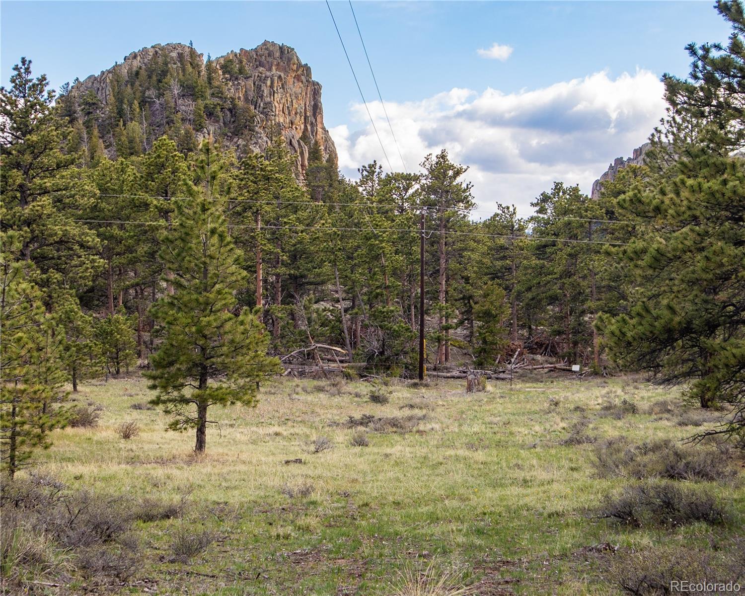 MLS Image #29 for 13101 n county road 73c ,red feather lakes, Colorado