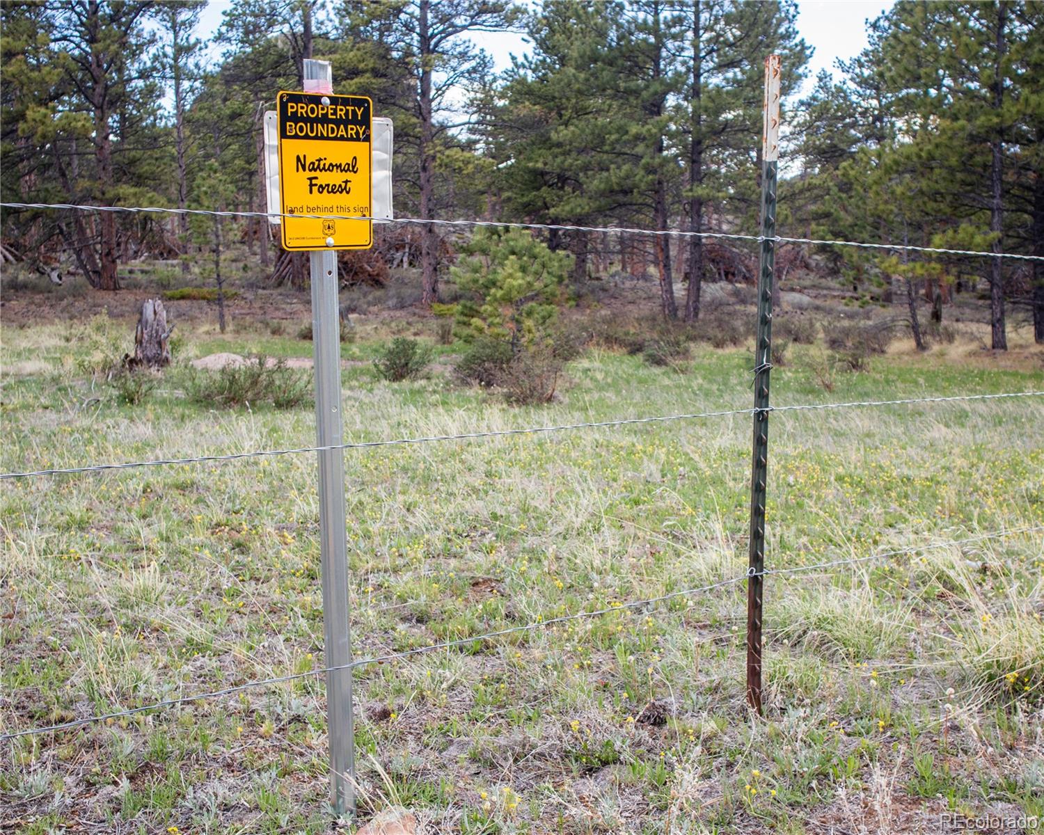 MLS Image #30 for 13101 n county road 73c ,red feather lakes, Colorado