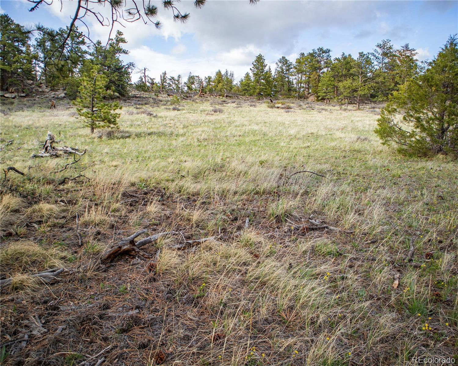 MLS Image #31 for 13101 n county road 73c ,red feather lakes, Colorado