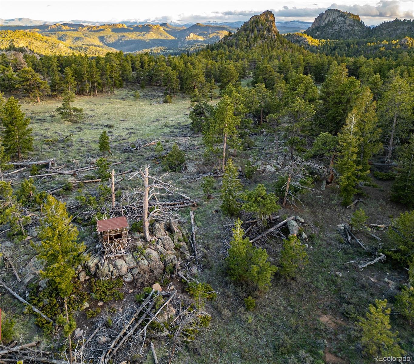 MLS Image #32 for 13101 n county road 73c ,red feather lakes, Colorado