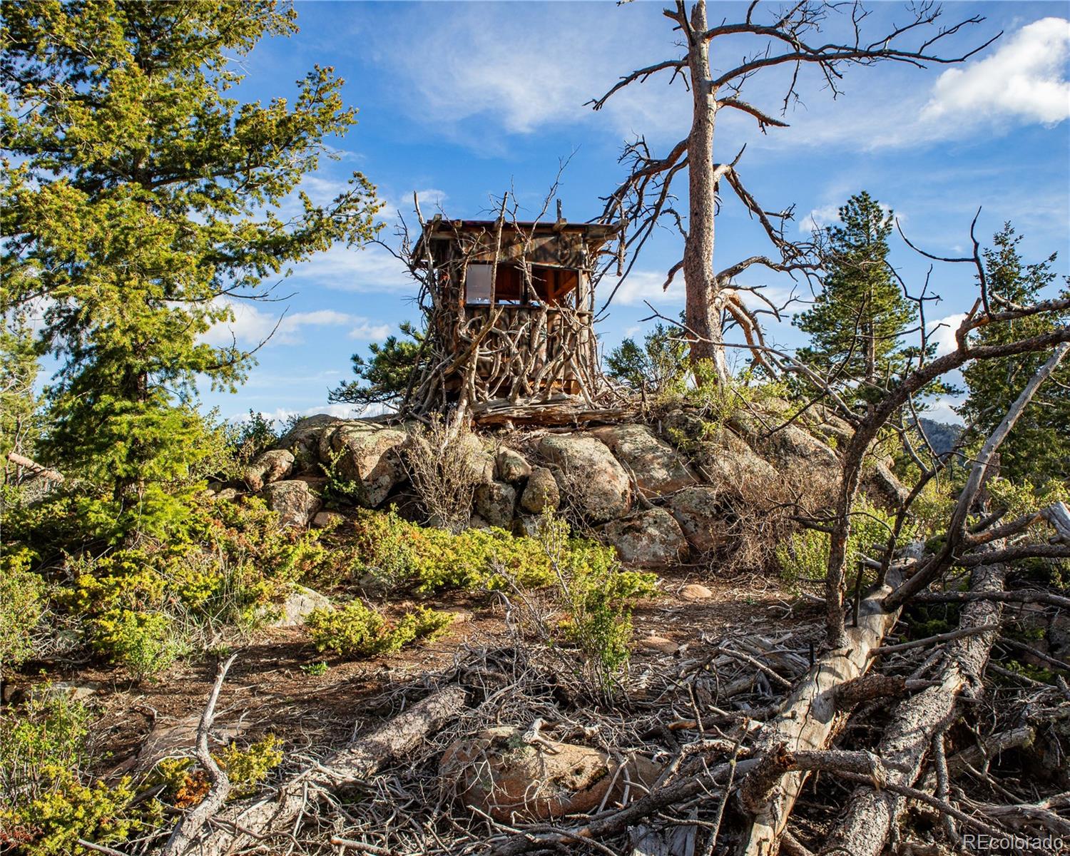 MLS Image #33 for 13101 n county road 73c ,red feather lakes, Colorado
