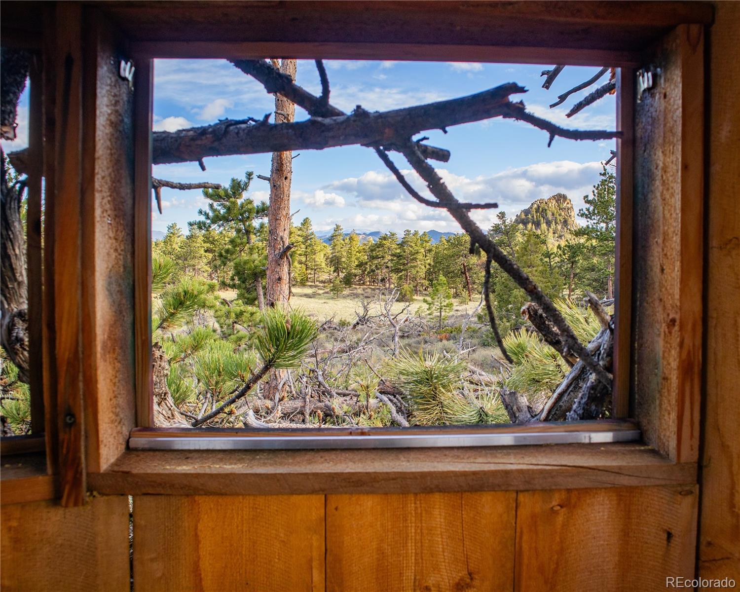 MLS Image #34 for 13101 n county road 73c ,red feather lakes, Colorado