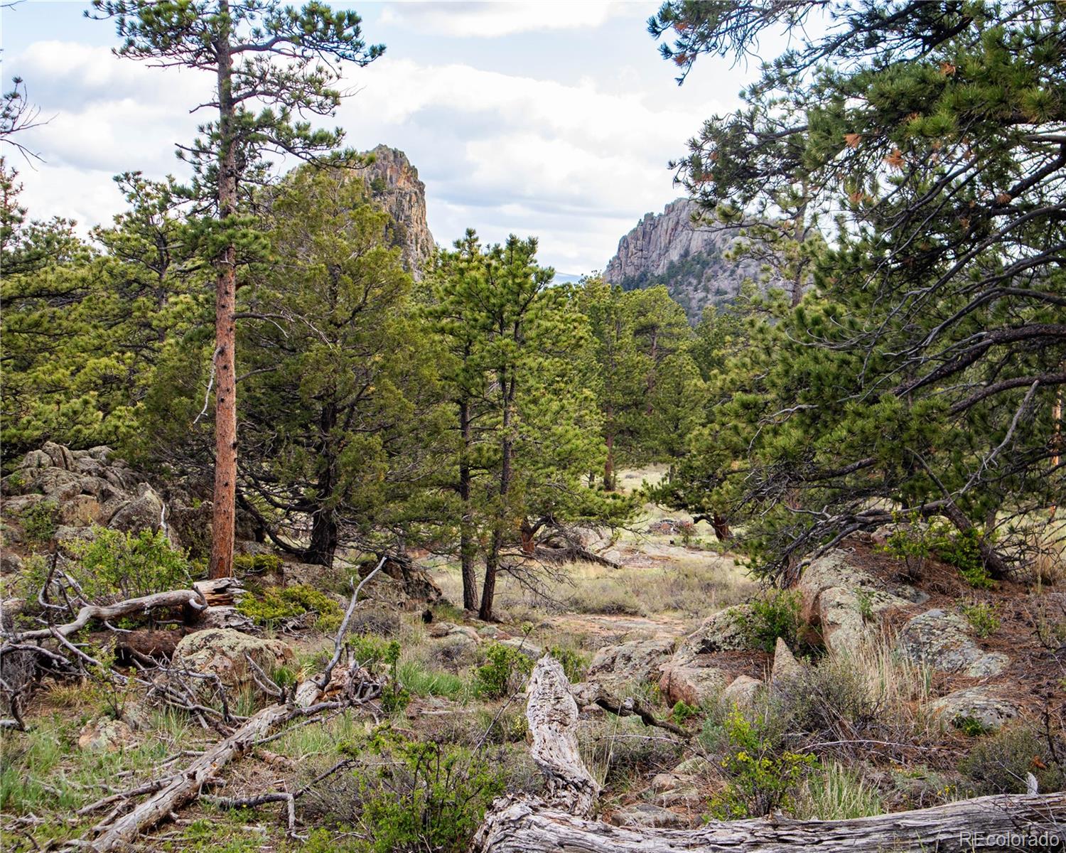 MLS Image #35 for 13101 n county road 73c ,red feather lakes, Colorado