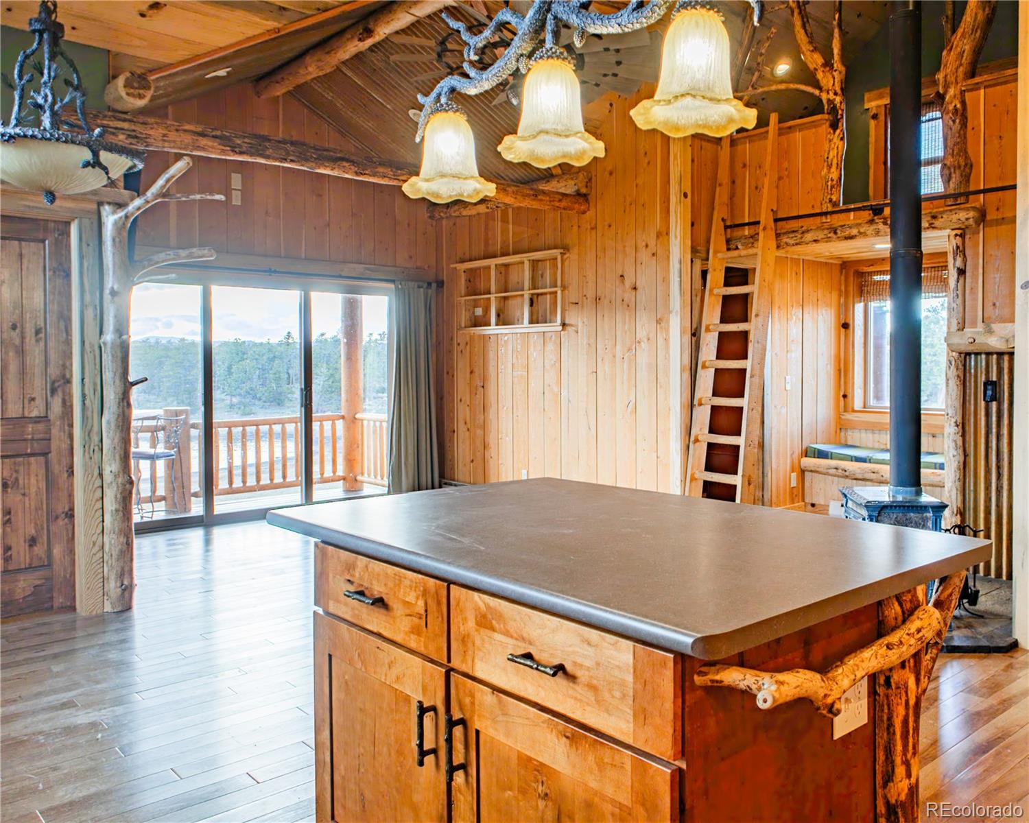 MLS Image #41 for 13101 n county road 73c ,red feather lakes, Colorado