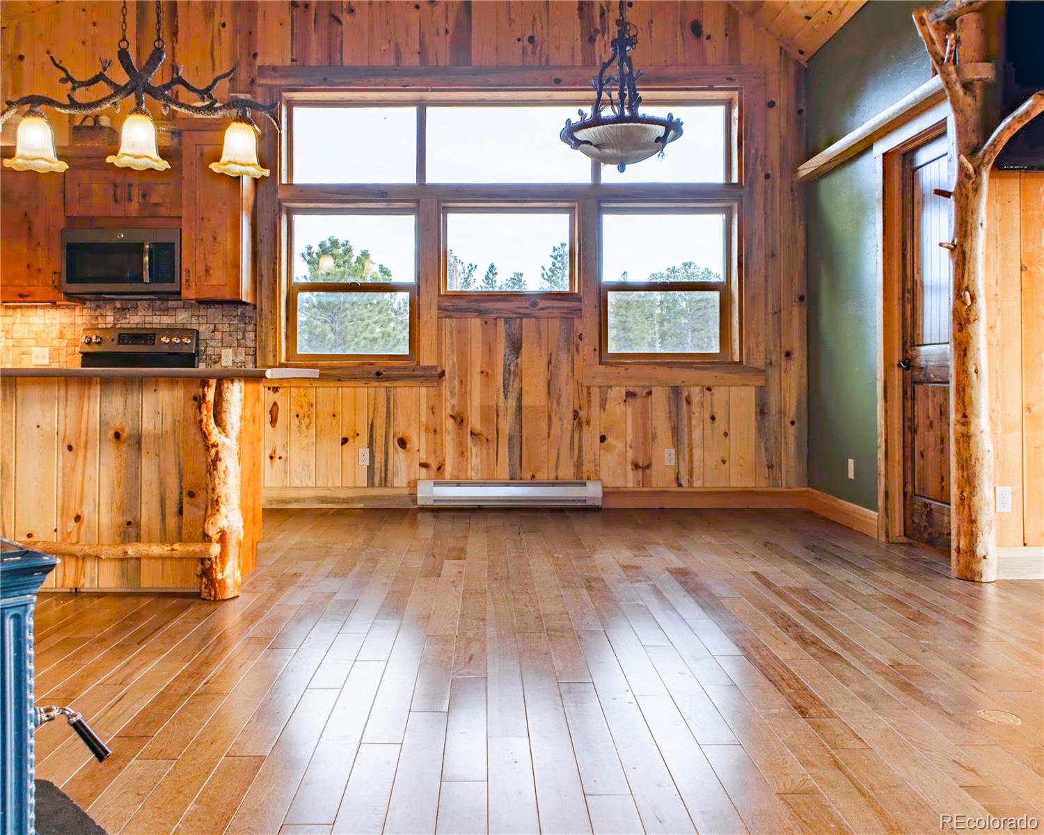 MLS Image #45 for 13101 n county road 73c ,red feather lakes, Colorado