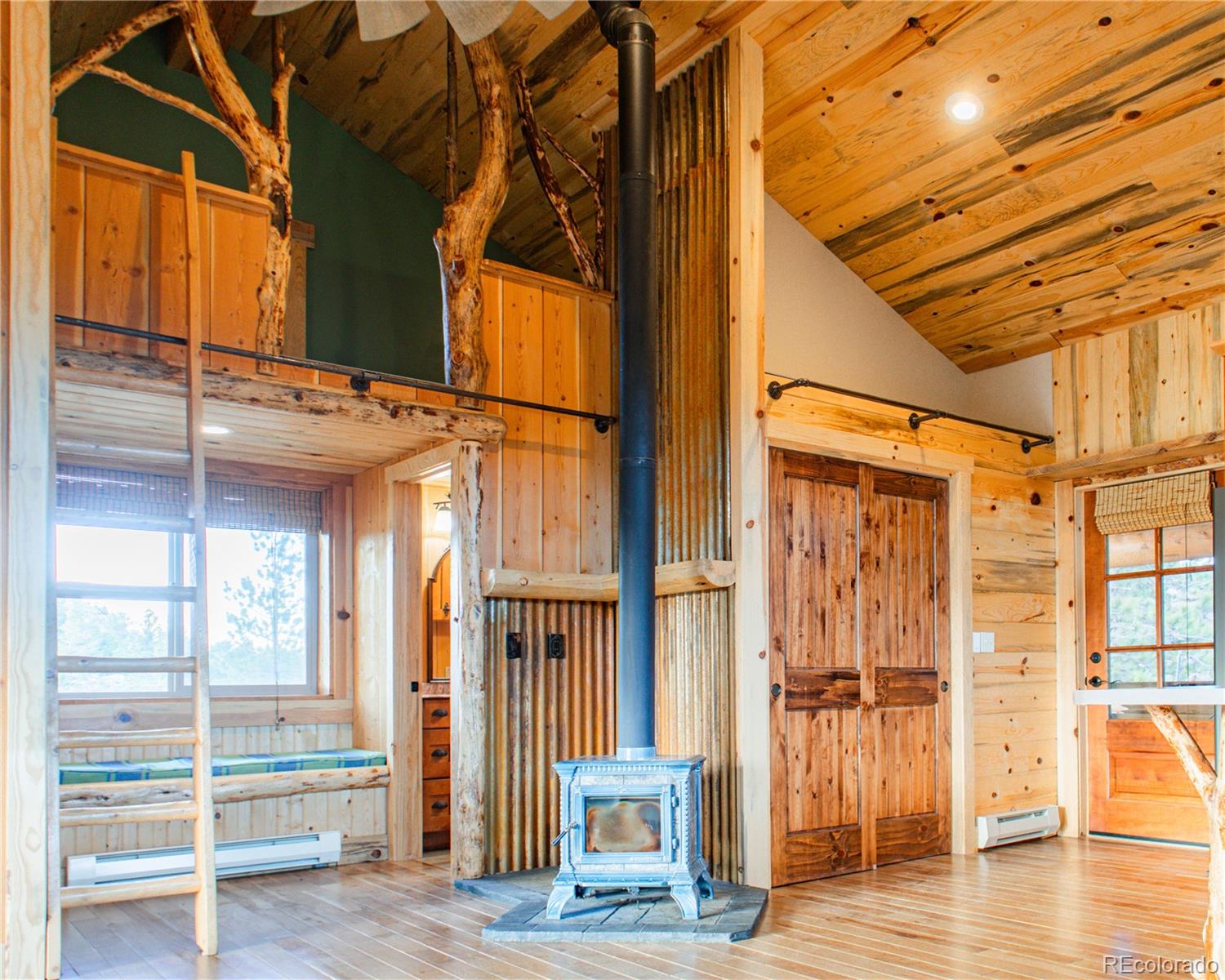 MLS Image #46 for 13101 n county road 73c ,red feather lakes, Colorado