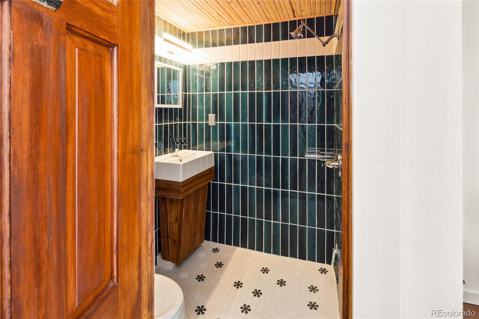 MLS Image #34 for 11  baca meadows ,moffat, Colorado