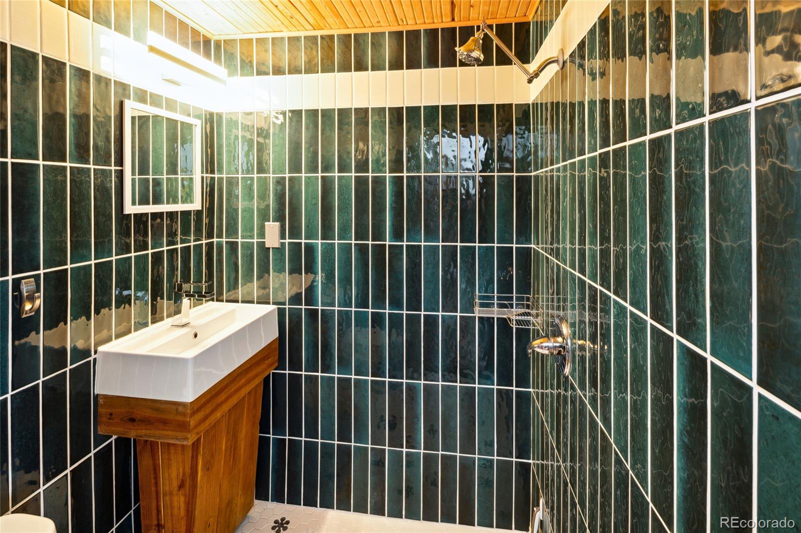 MLS Image #35 for 11  baca meadows ,moffat, Colorado