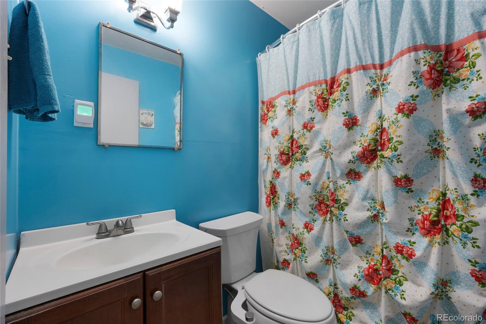 MLS Image #17 for 902  virginia street,idaho springs, Colorado