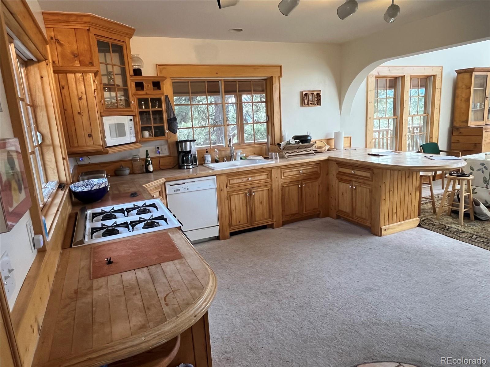 MLS Image #10 for 4924 s indian trail ,evergreen, Colorado
