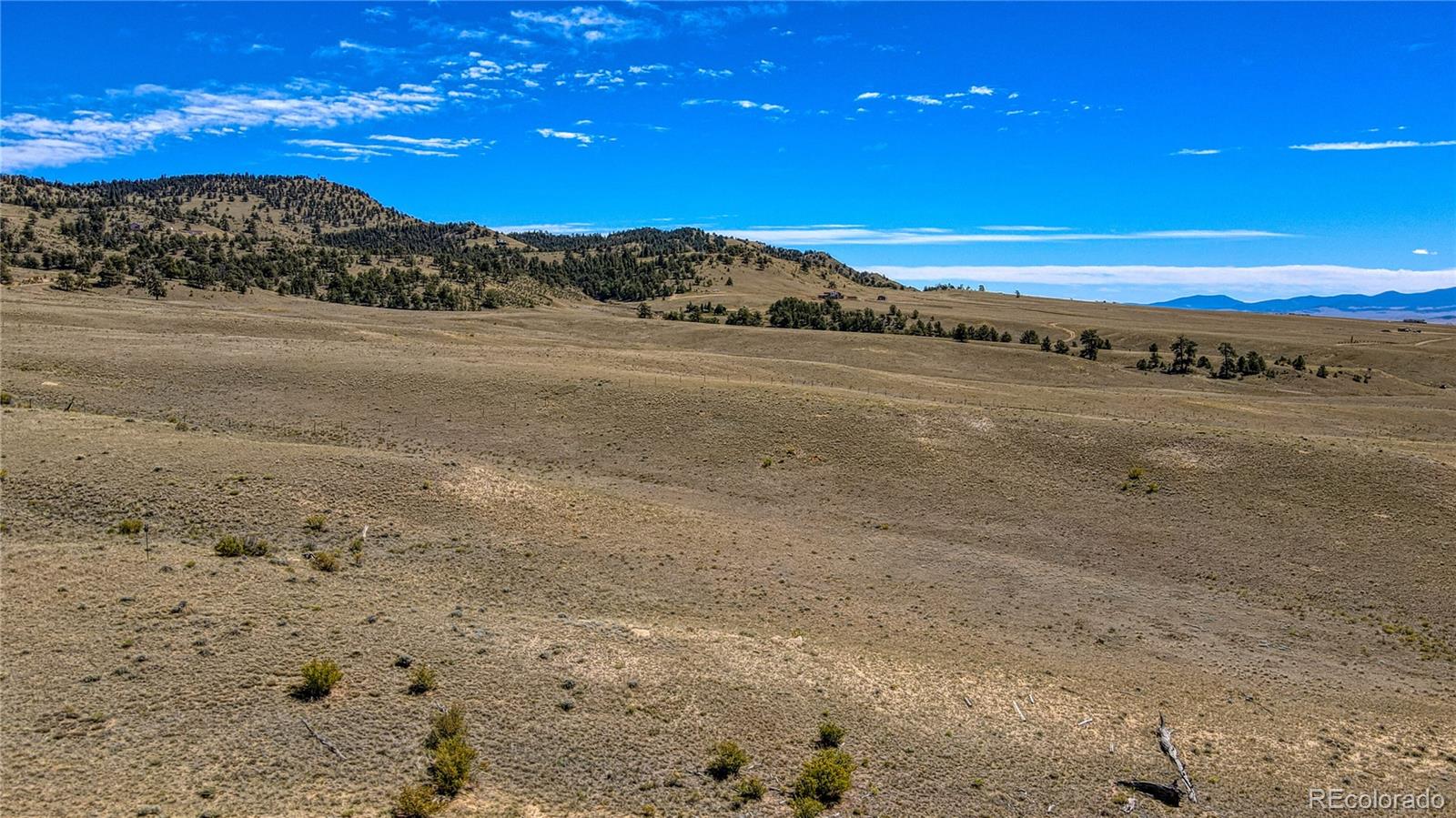 MLS Image #37 for 2163  hardwood loop,hartsel, Colorado