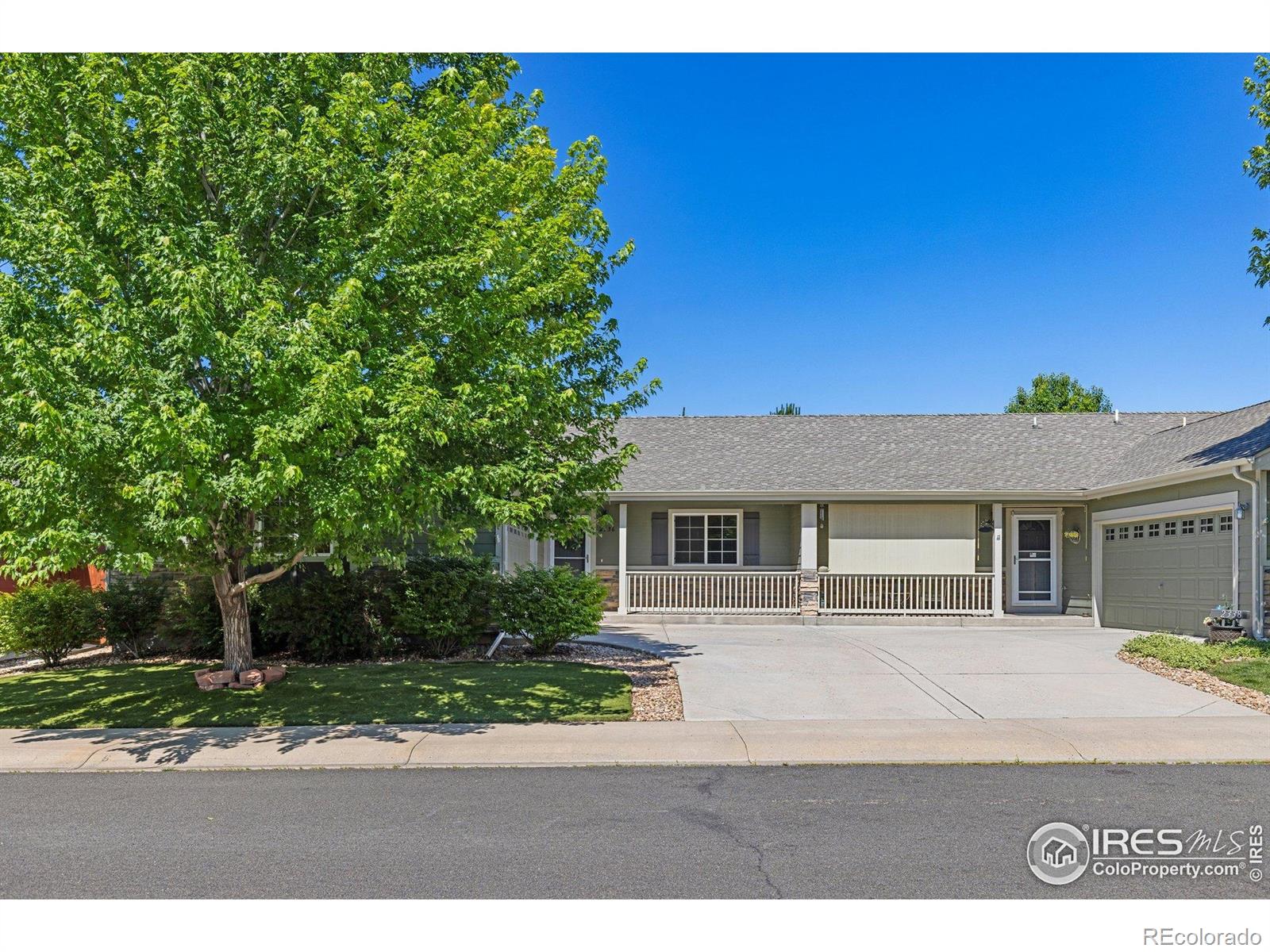 MLS Image #4 for 2336  sopris circle,loveland, Colorado