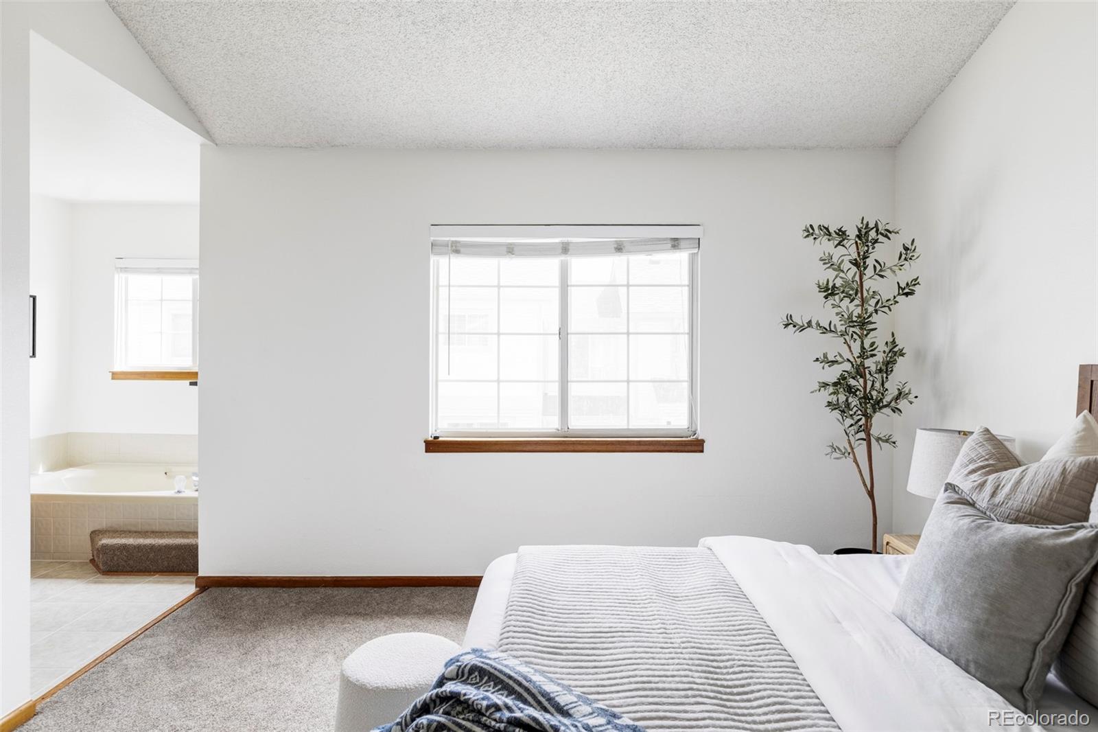 MLS Image #15 for 2040 s xenia way,denver, Colorado