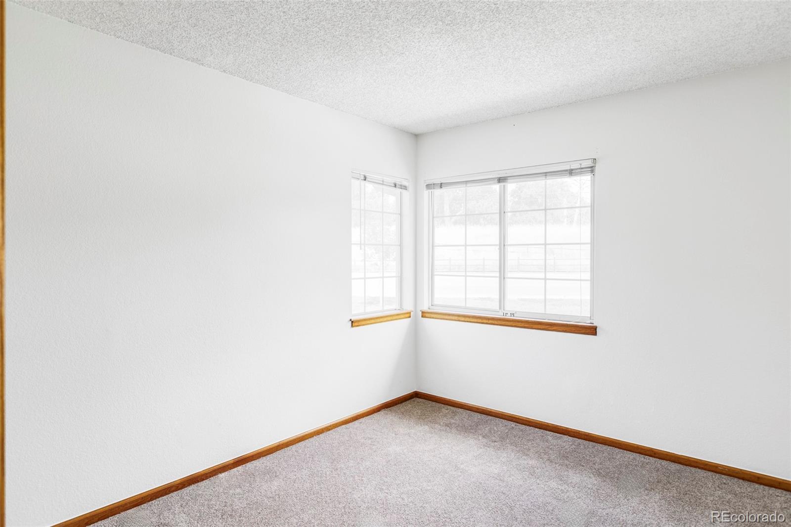MLS Image #18 for 2040 s xenia way,denver, Colorado