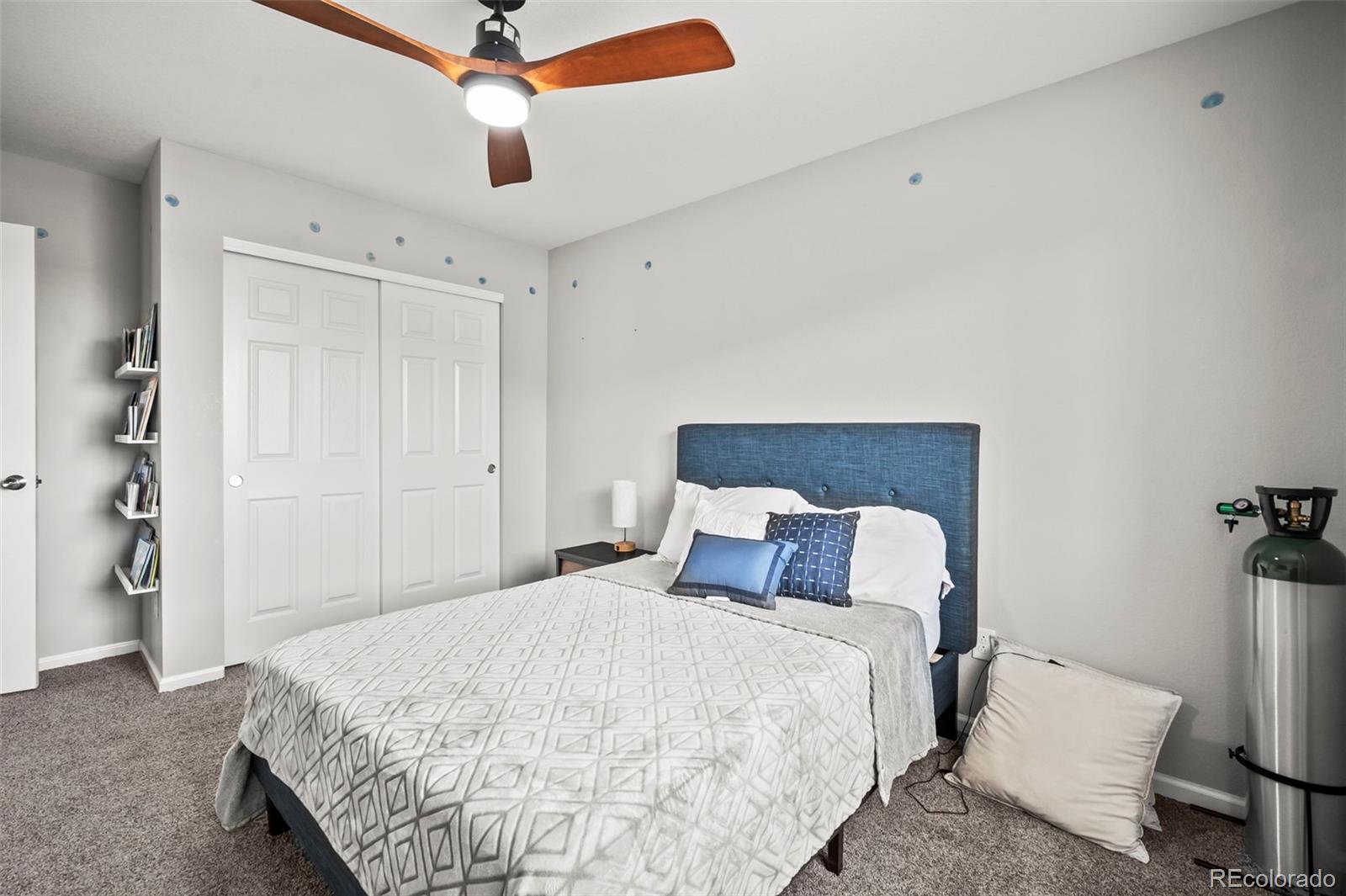 MLS Image #13 for 2688  loon circle,castle rock, Colorado