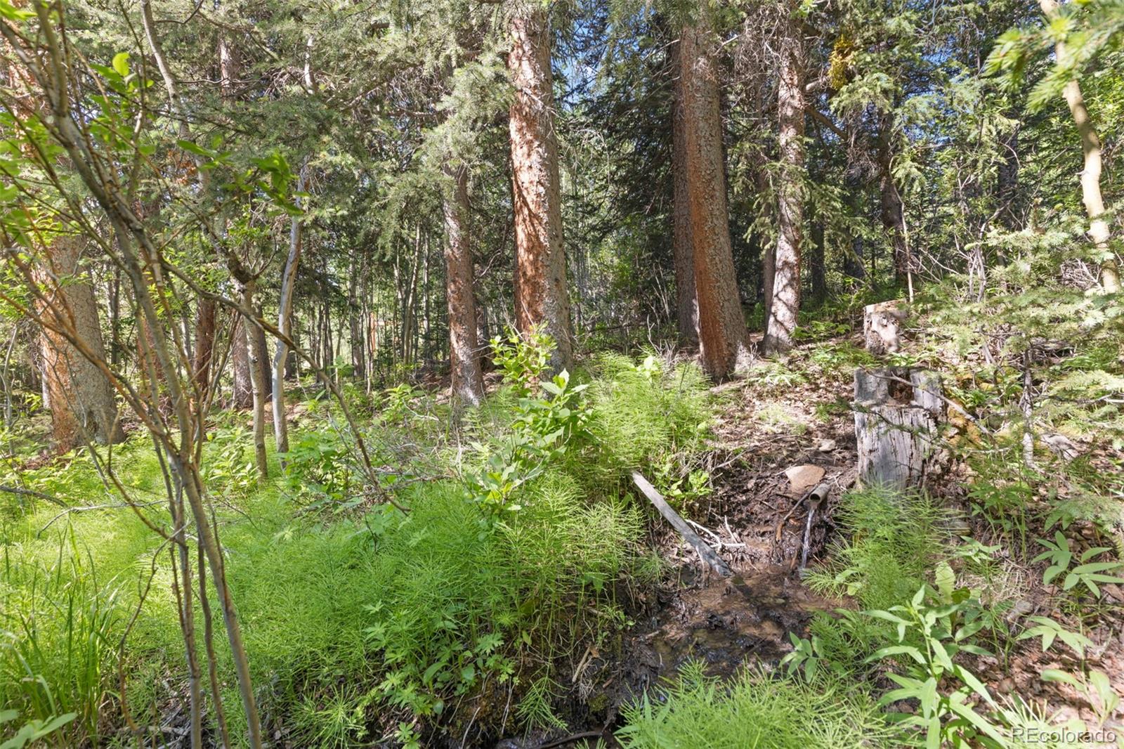 MLS Image #46 for 294  mine dump road,fairplay, Colorado
