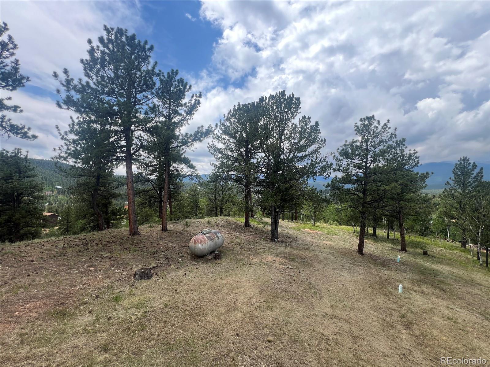 MLS Image #17 for 95  appleby street,bailey, Colorado