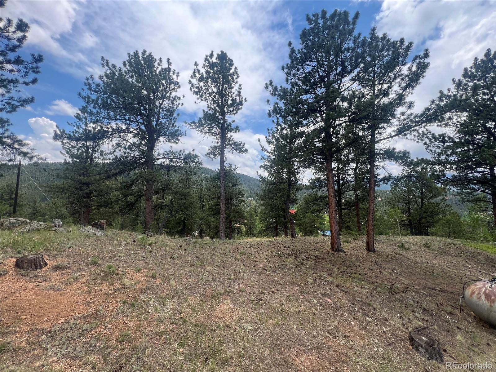 MLS Image #18 for 95  appleby street,bailey, Colorado