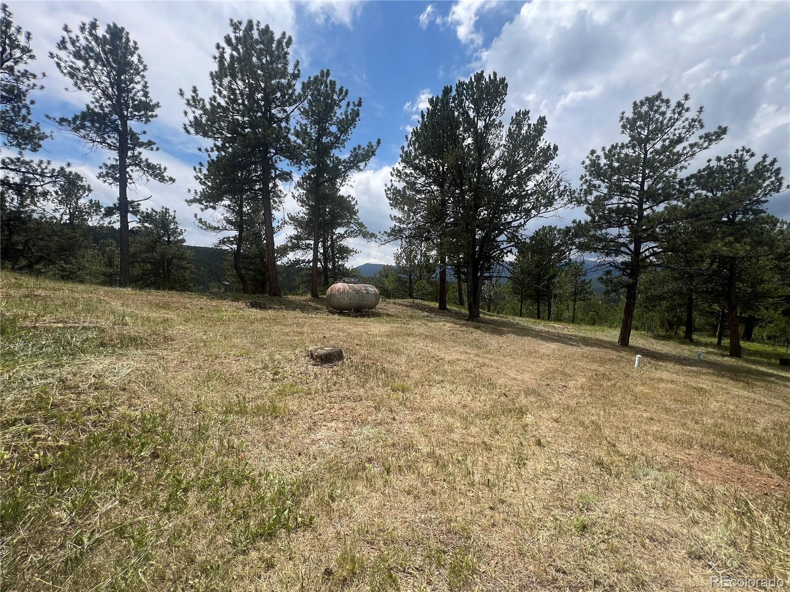MLS Image #19 for 95  appleby street,bailey, Colorado