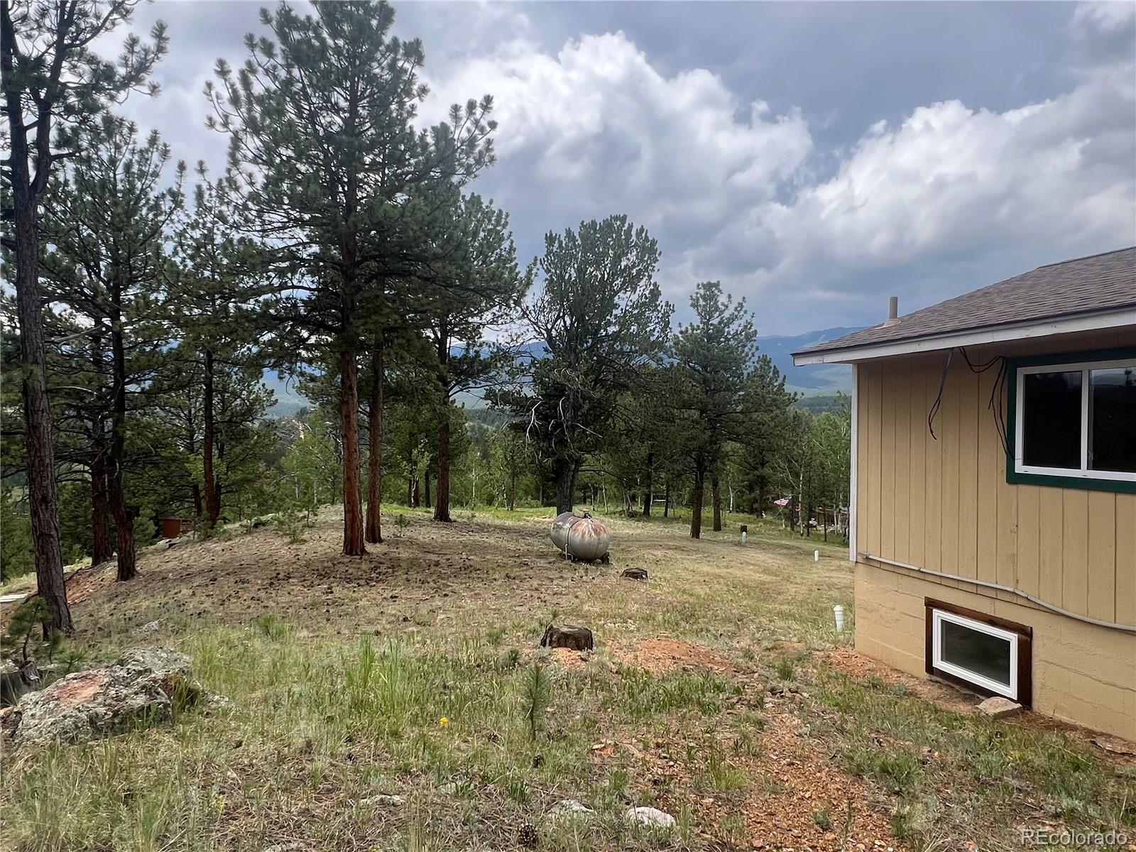 MLS Image #21 for 95  appleby street,bailey, Colorado