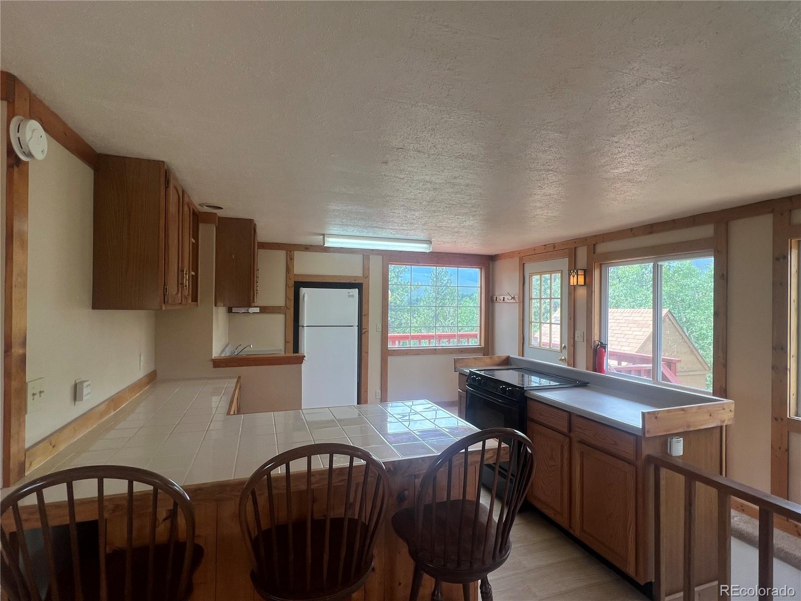 MLS Image #4 for 95  appleby street,bailey, Colorado