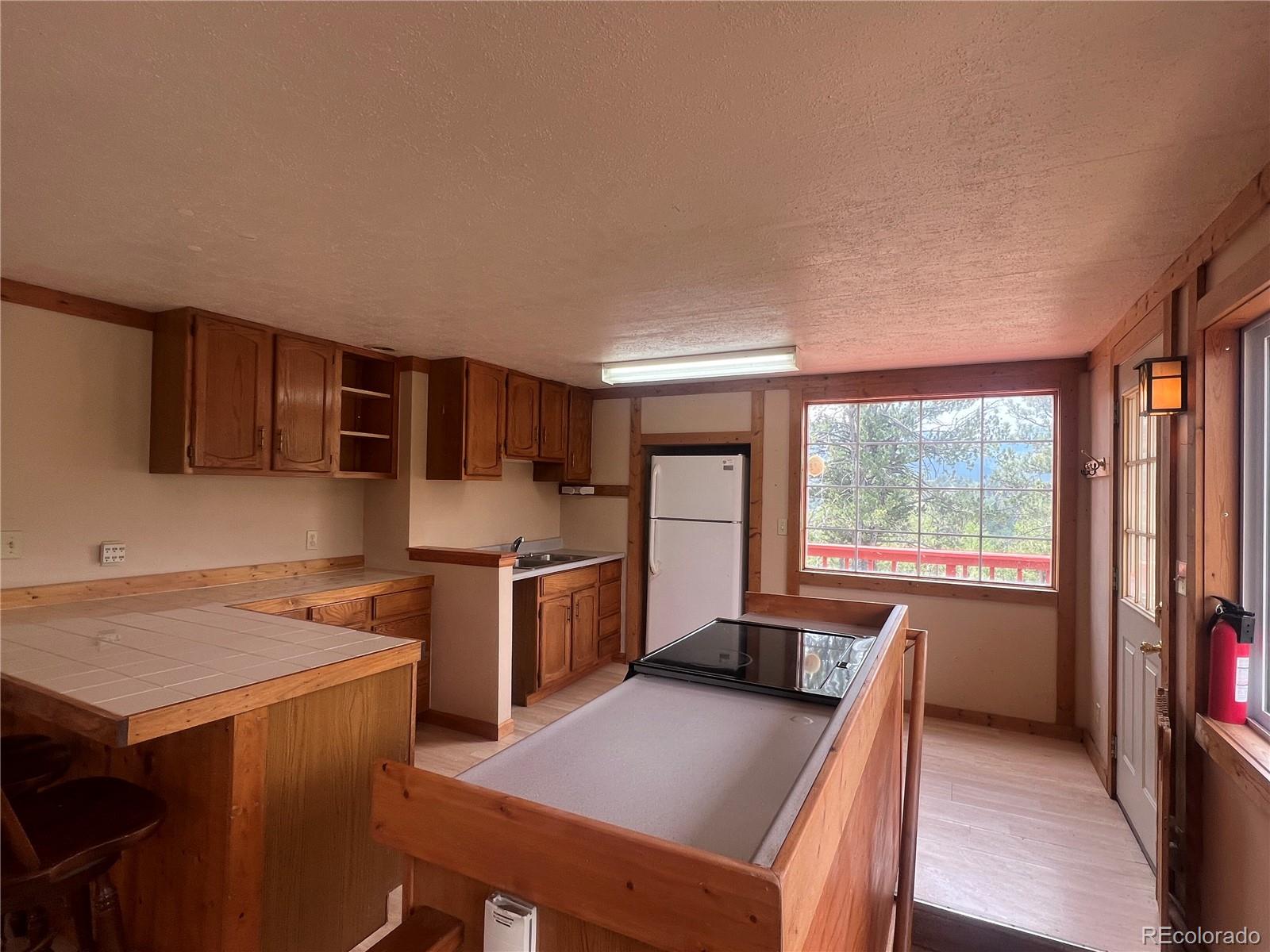 MLS Image #5 for 95  appleby street,bailey, Colorado