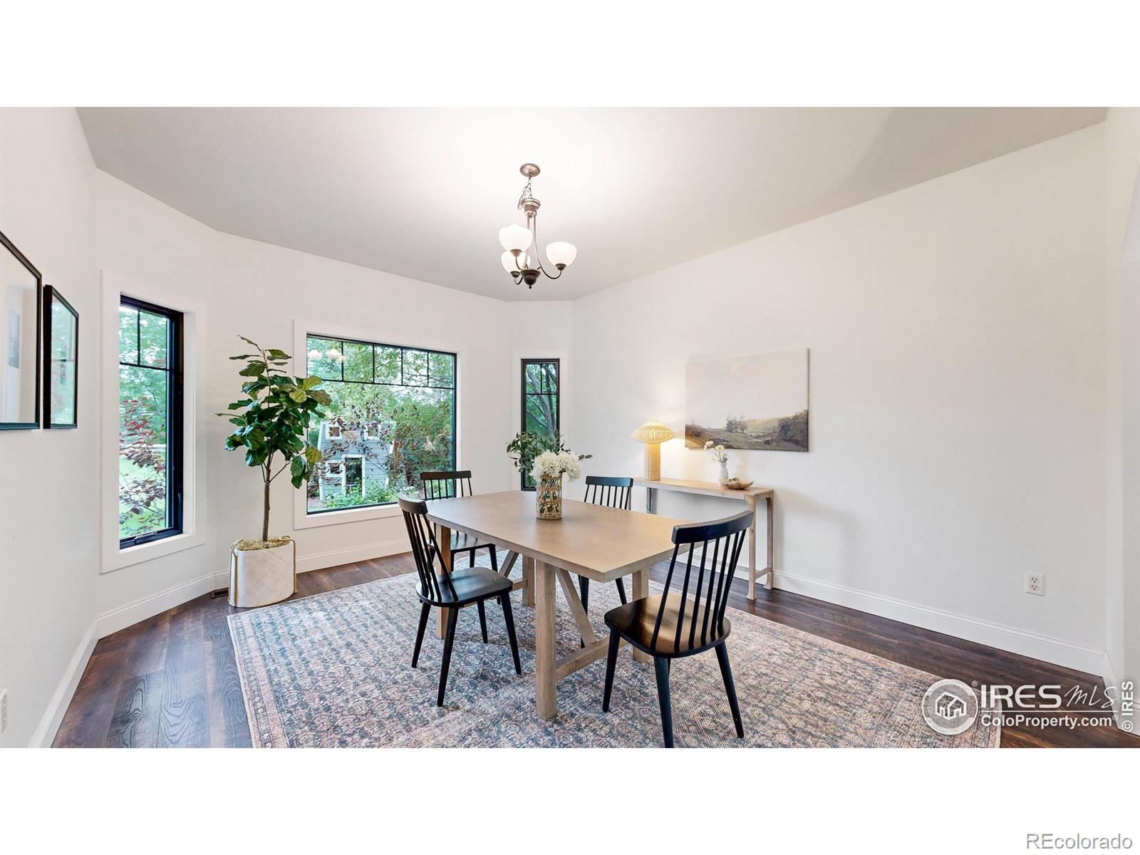 MLS Image #5 for 2818  cherrystone place,fort collins, Colorado