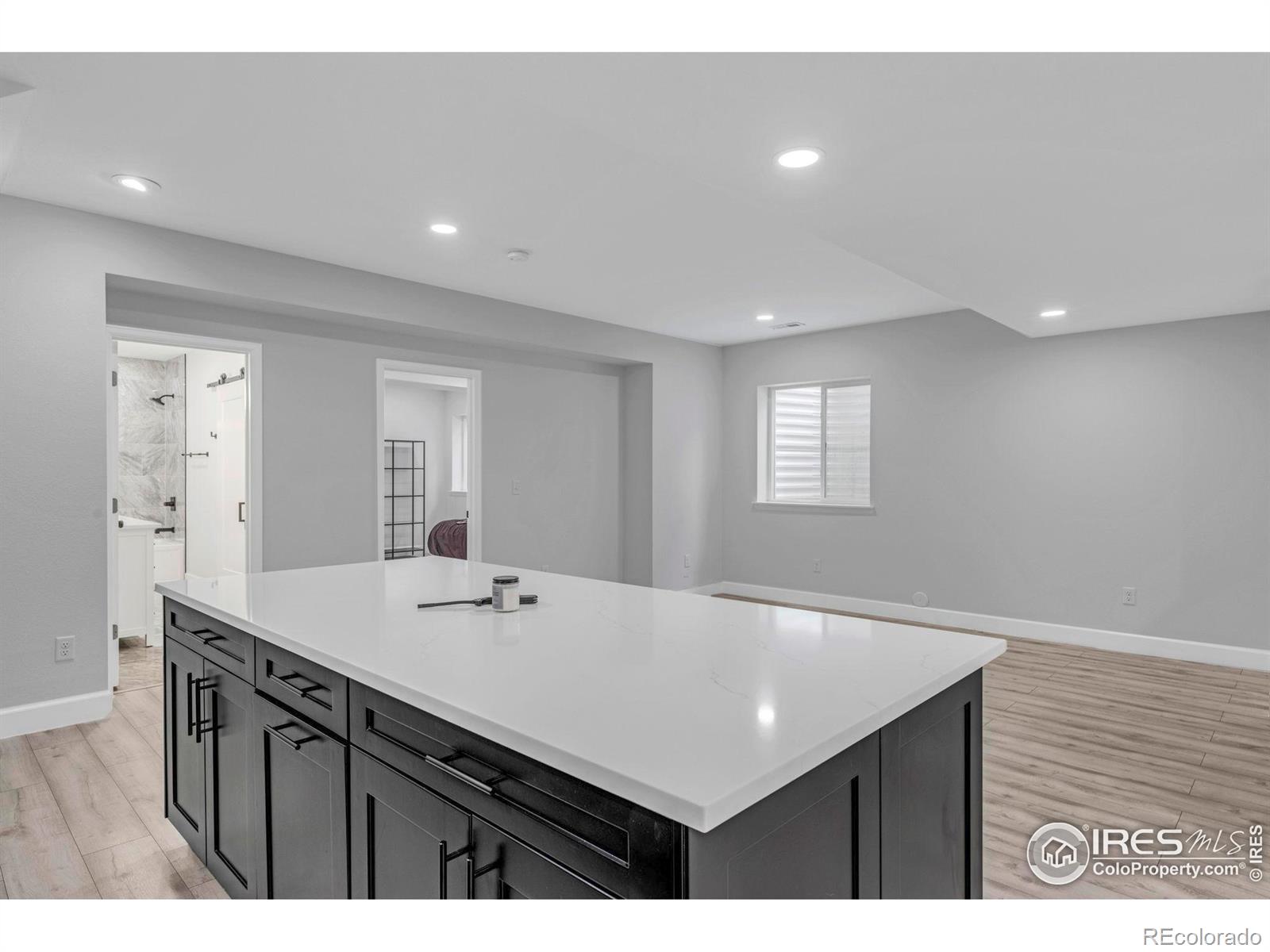 MLS Image #24 for 17012  lipan street,broomfield, Colorado