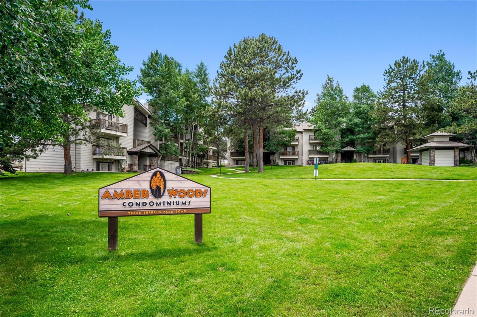 MLS Image #10 for 29656  buffalo park road,evergreen, Colorado