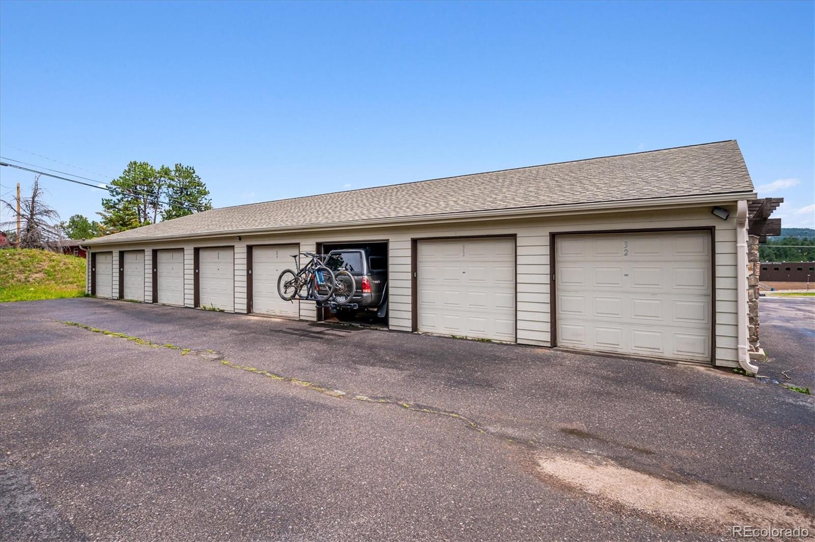 MLS Image #17 for 29656  buffalo park road,evergreen, Colorado