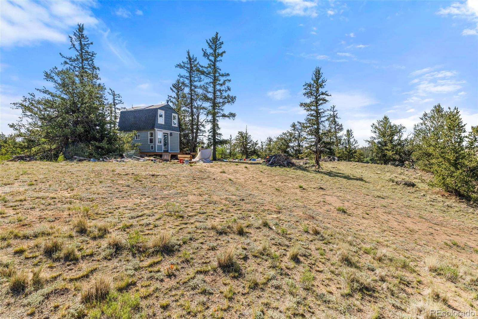 MLS Image #19 for 64  carbine road,jefferson, Colorado